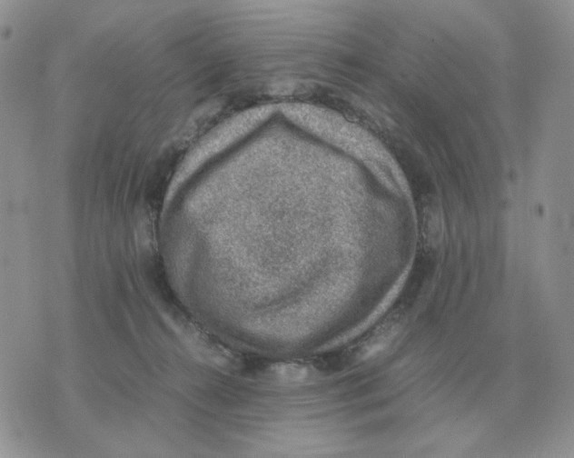 X0000070370272200607072136