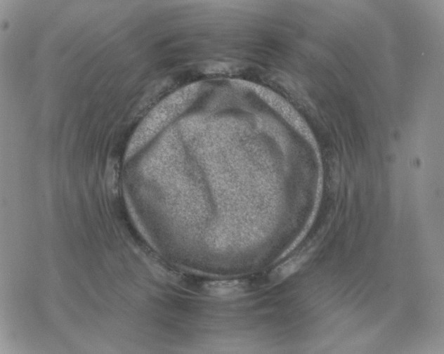 X0000070370273200607072136