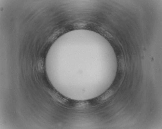 X0000070370274200607072136