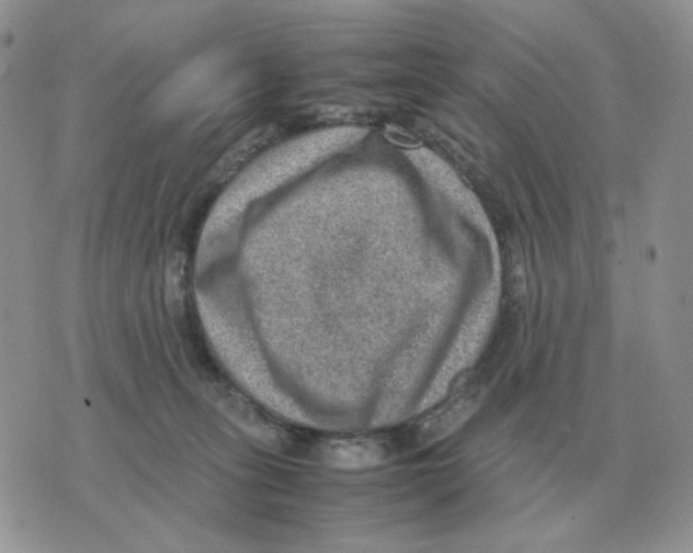 X0000070370275200607072136