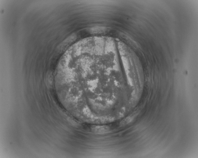 X0000070370277200607072136