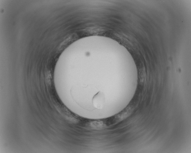 X0000070370279200607072136