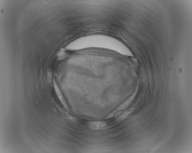 X0000070370281200607072136