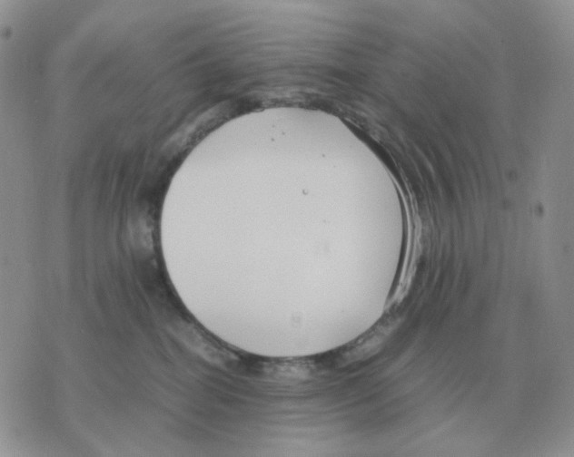 X0000070370282200607072136