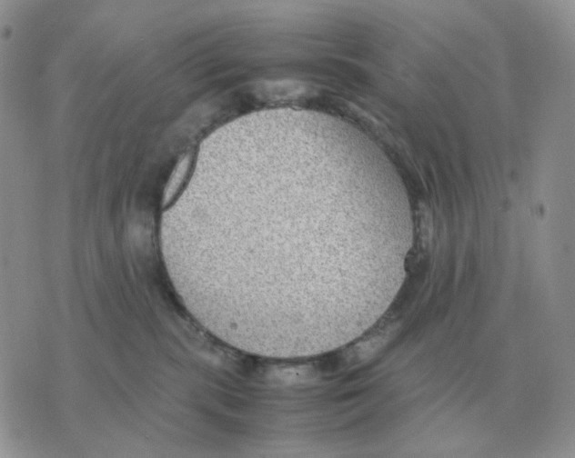 X0000070370283200607072136