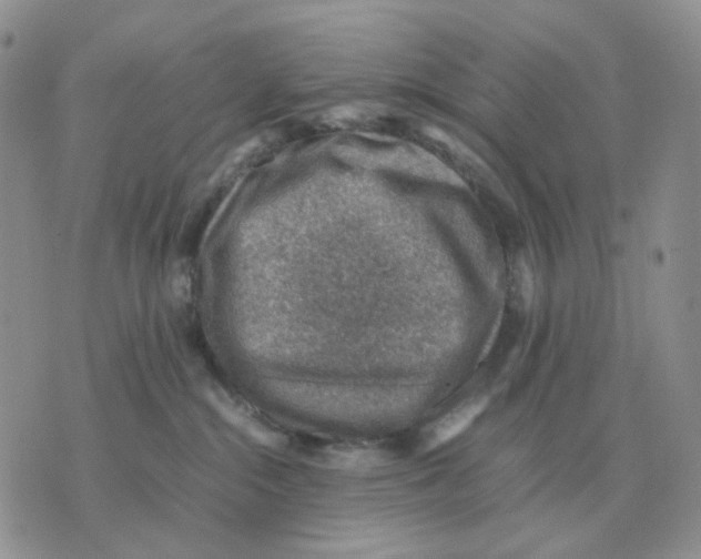 X0000070370284200607072136