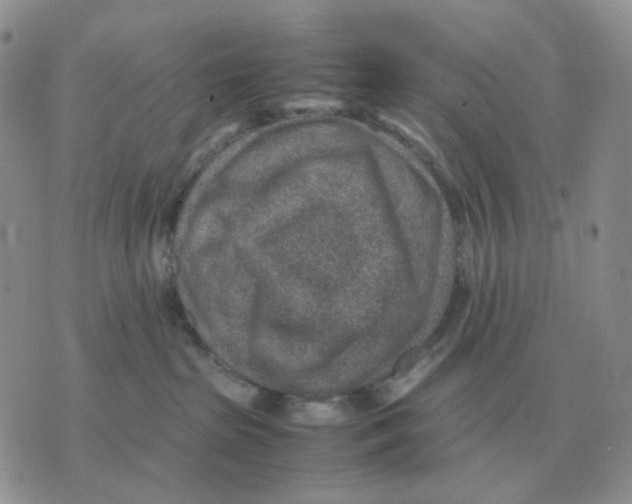 X0000070370285200607072136