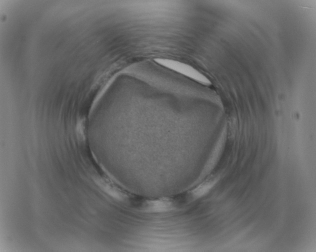 X0000070370286200607072136