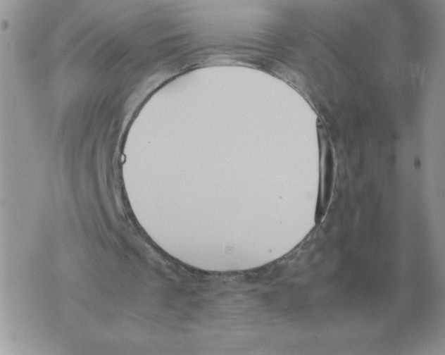 X0000070370289200607072135