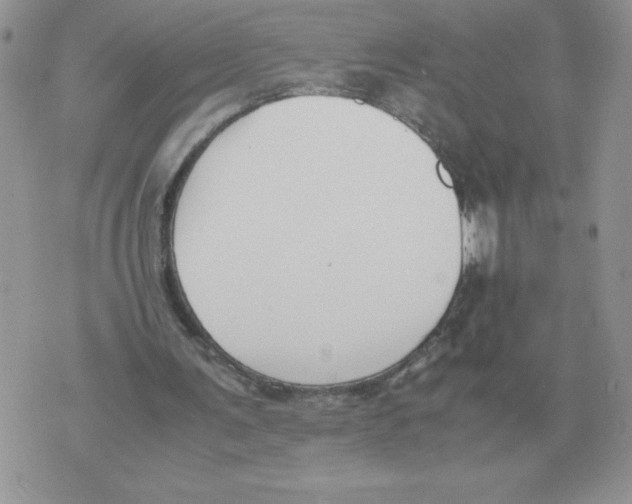 X0000070370291200607072135