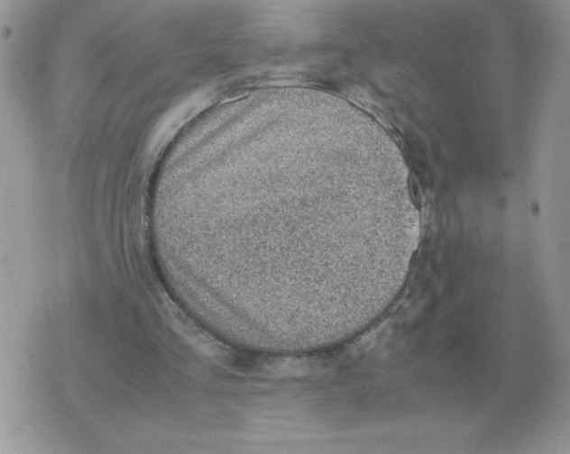 X0000070370293200607072135