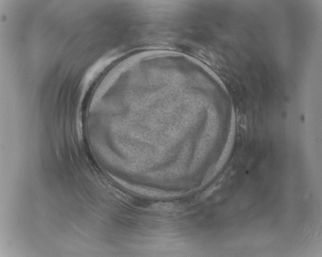 X0000070370294200607072135