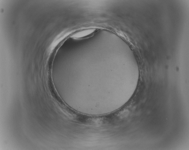 X0000070370295200607072135