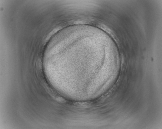 X0000070370297200607072135