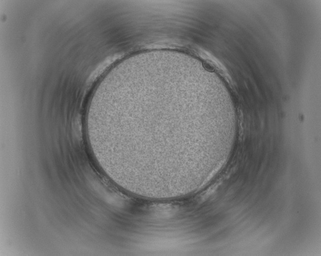 X0000070370298200607072135