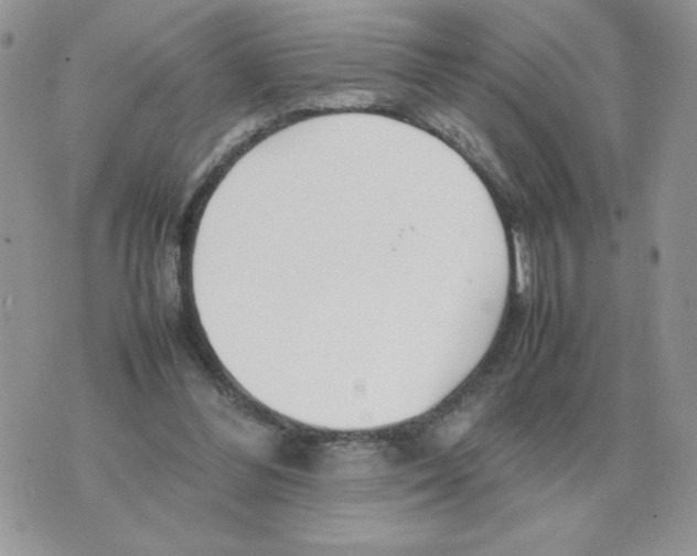 X0000070370300200607072135