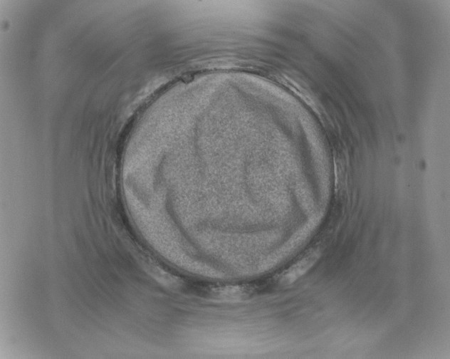 X0000070370301200607072135