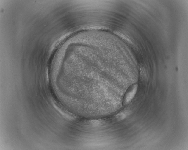 X0000070370302200607072135