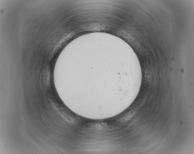 X0000070370304200607072135