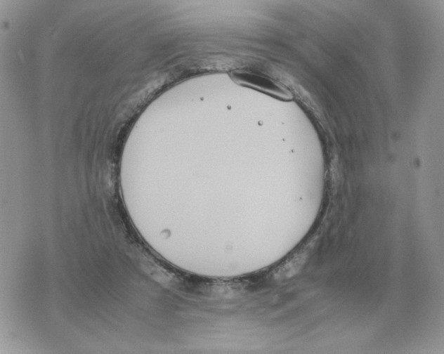 X0000070370305200607072135