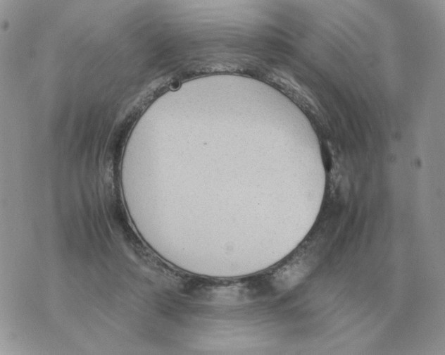 X0000070370306200607072135