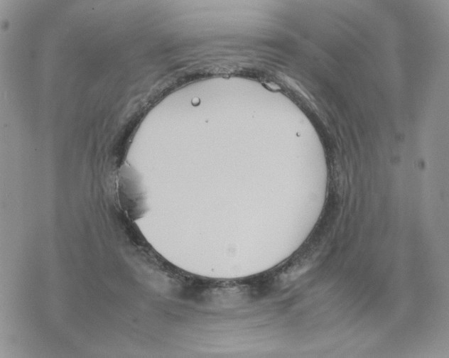 X0000070370307200607072135