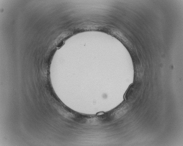 X0000070370309200607072135