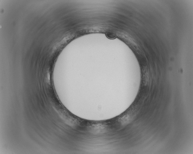 X0000070370310200607072135