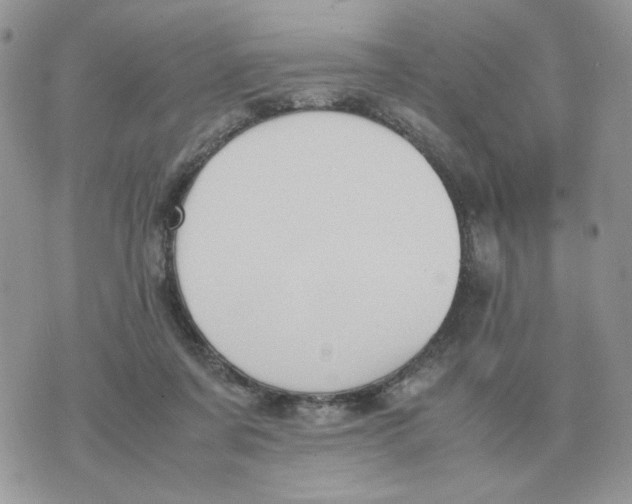 X0000070370311200607072135