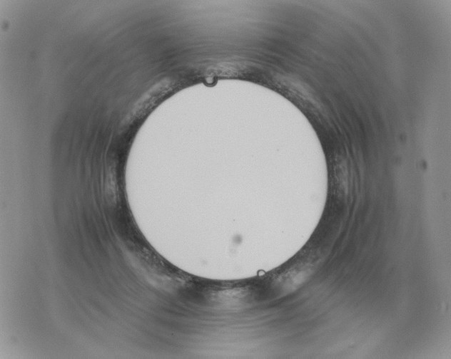 X0000070370312200607072135