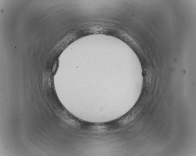 X0000070370313200607072135