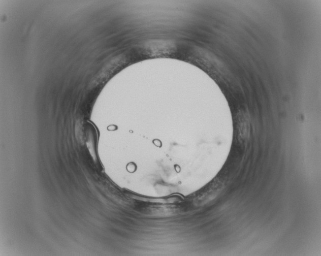 X0000070370316200607072135