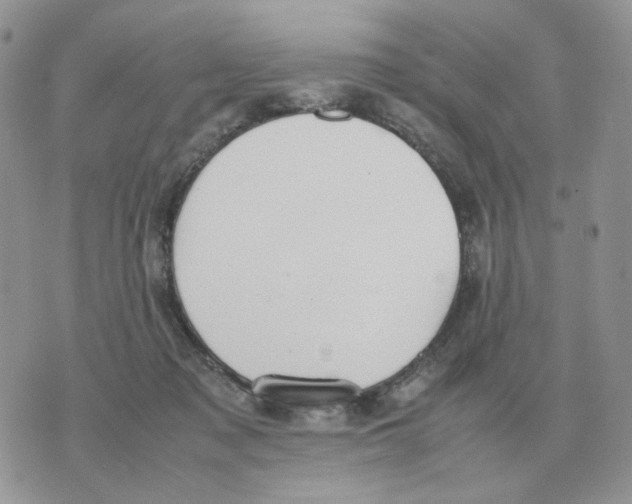 X0000070370317200607072135