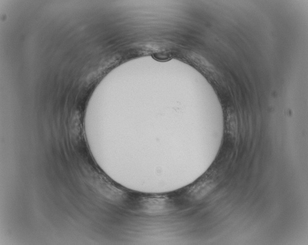 X0000070370318200607072135