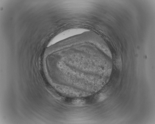 X0000070370319200607072135