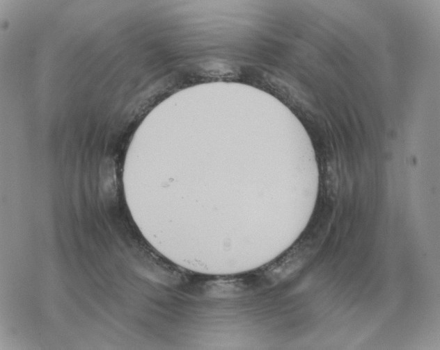 X0000070370320200607072135