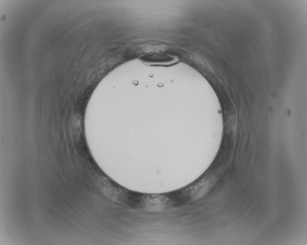 X0000070370321200607072135