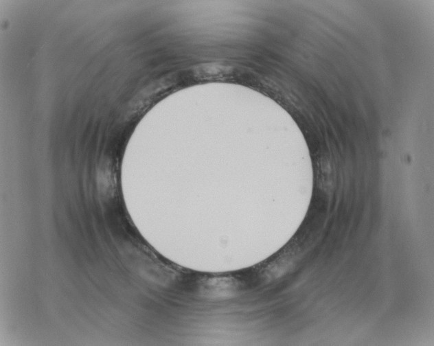 X0000070370324200607072135