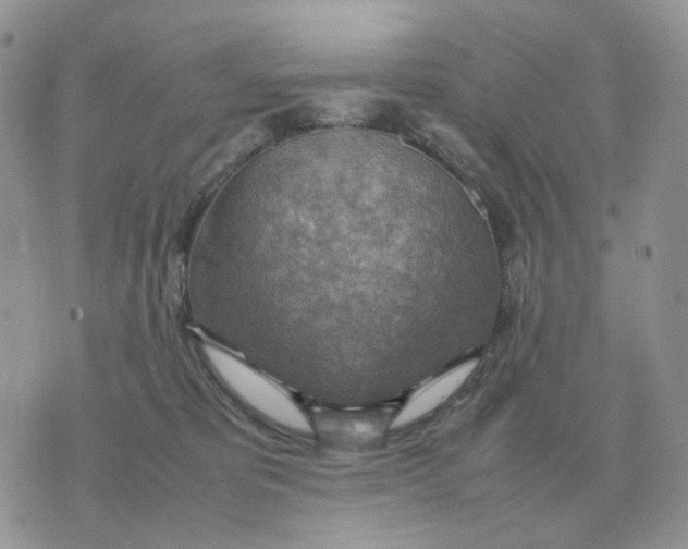 X0000070370325200607072135