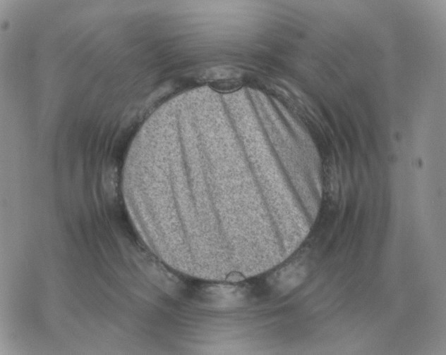 X0000070370326200607072135