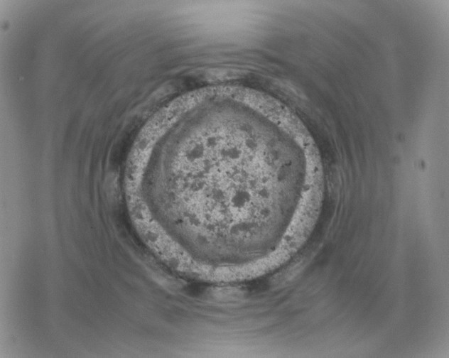 X0000070370327200607072135