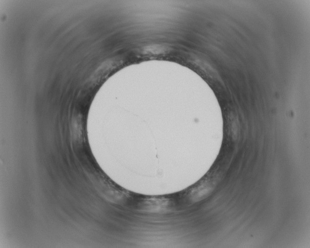 X0000070370328200607072135