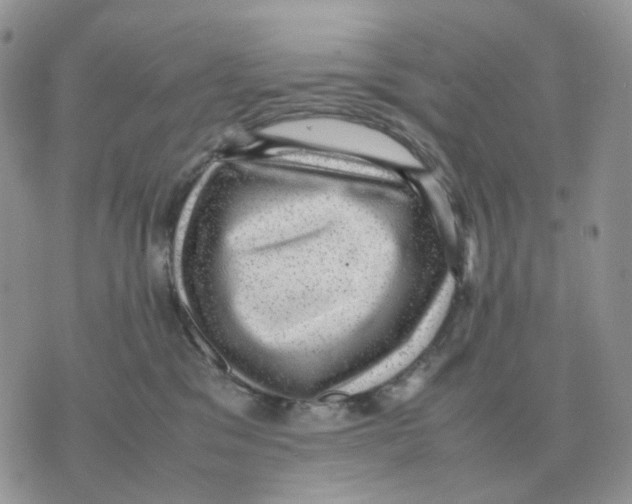 X0000070370329200607072135