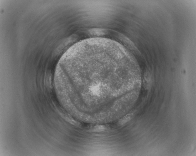 X0000070370330200607072135