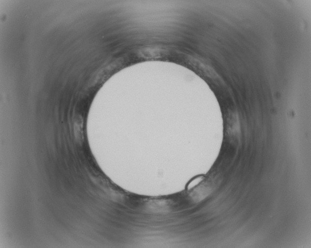 X0000070370332200607072135