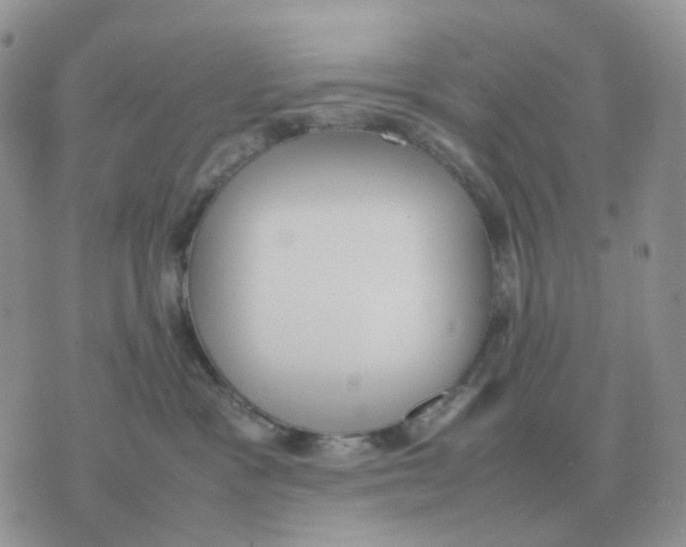 X0000070370333200607072135