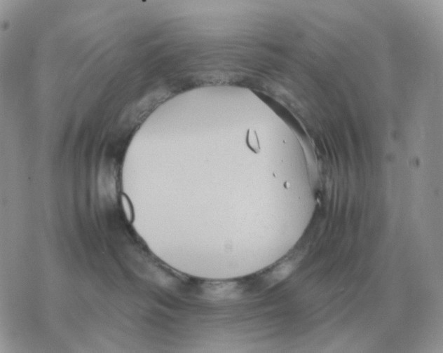 X0000070370334200607072135