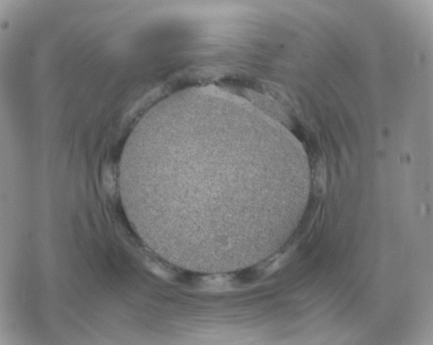 X0000070370335200607072135