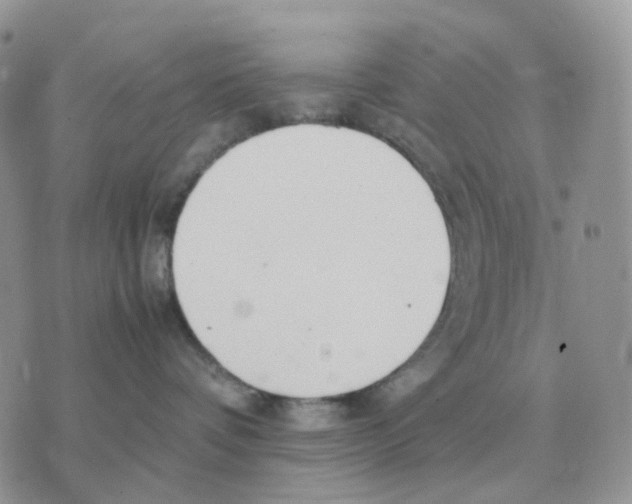 X0000070370336200607072135