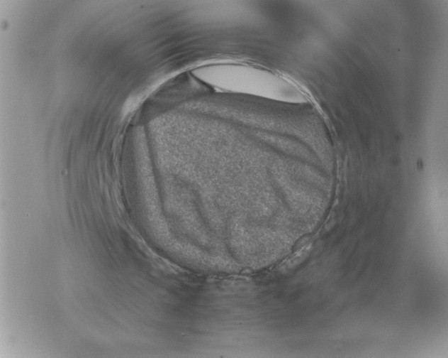 X0000070370337200607072134